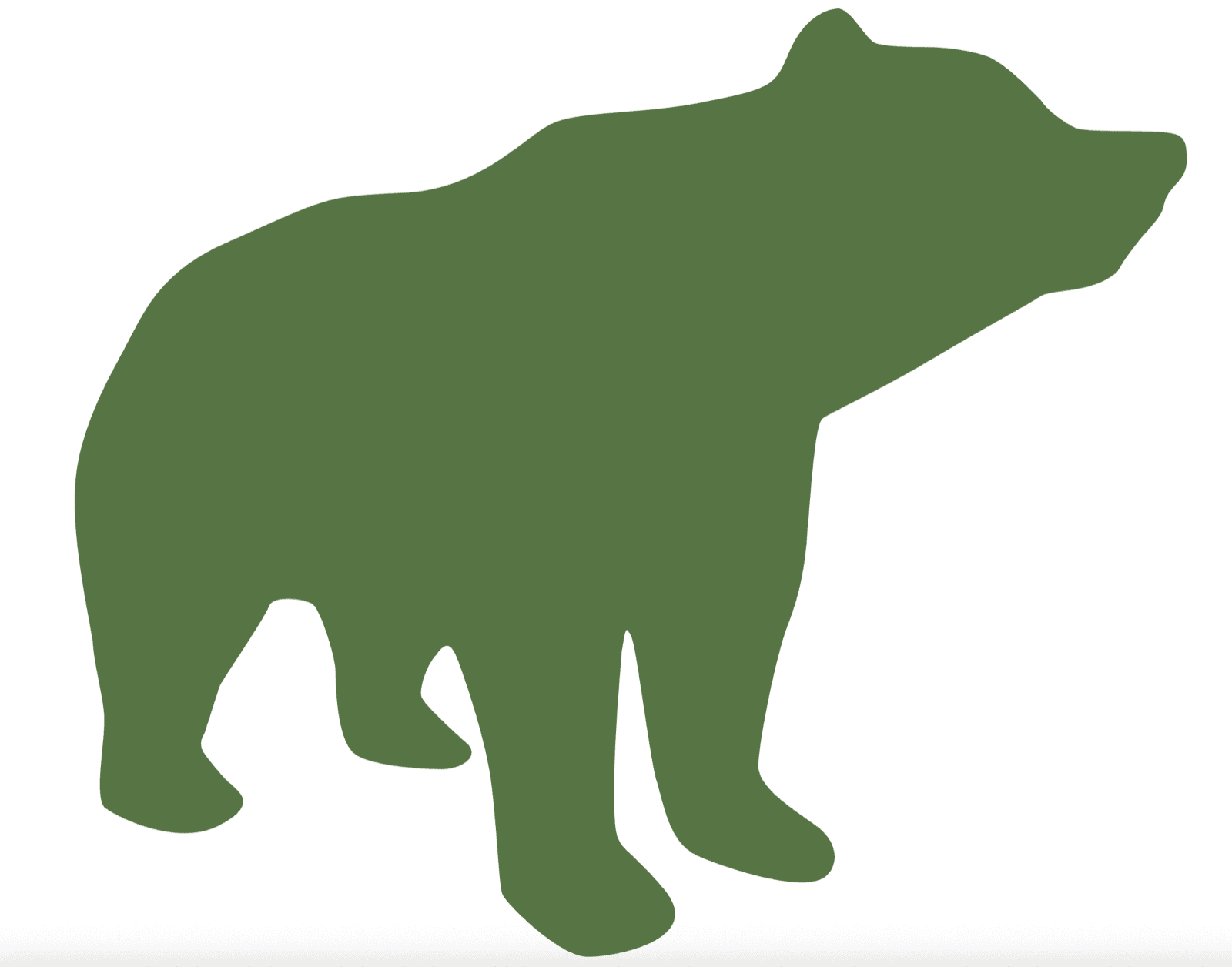 A Smart Bear